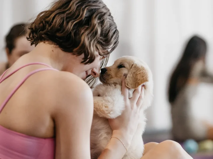 Yoga Paws Perth — Yoga in Inglewood