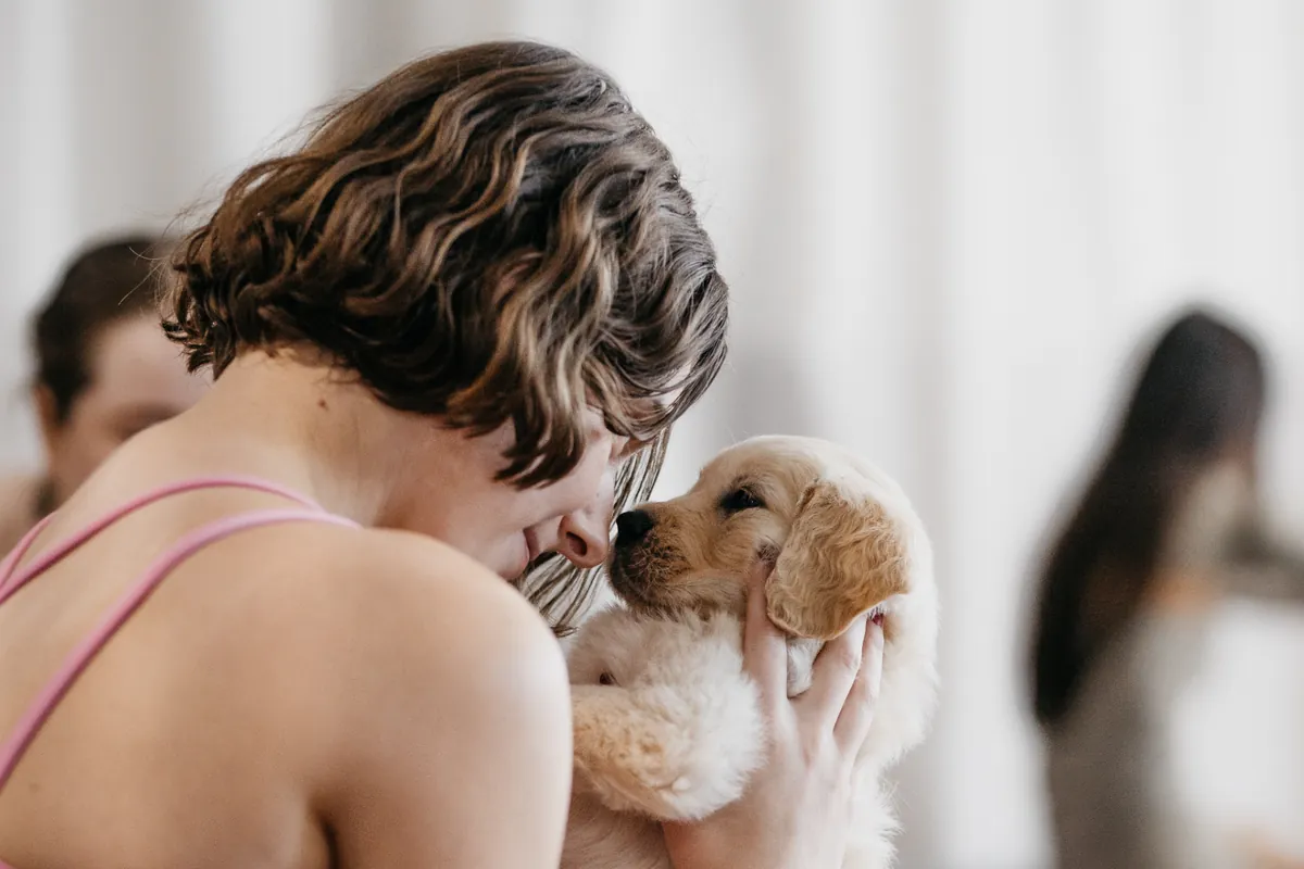 A guest cuddling a golden retriever puppy at a Yoga Paws session